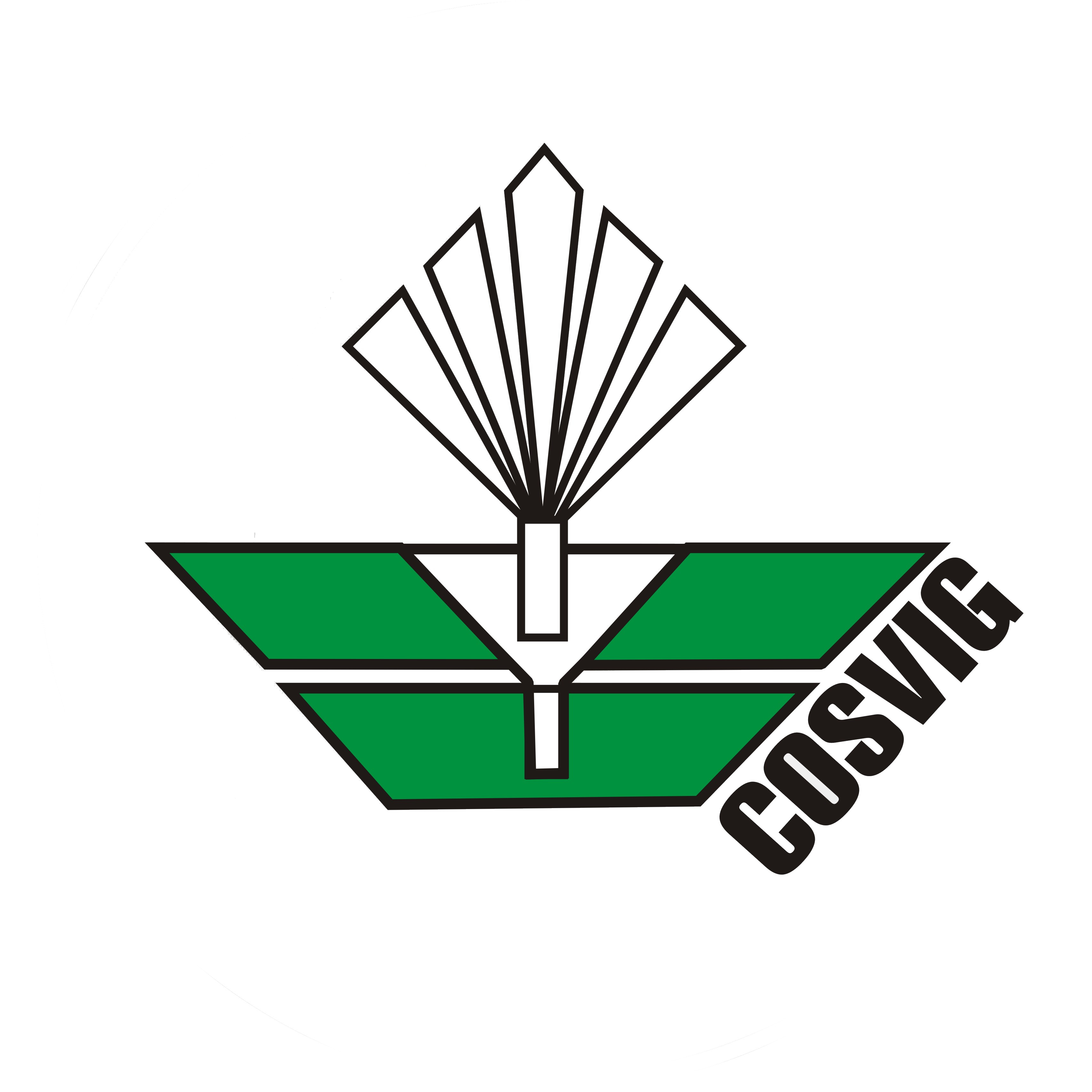 LOGO – cosviglogonocircle